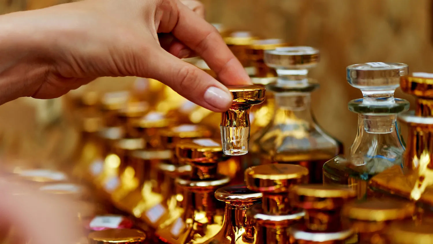 W&w paris herman mfuanani herman parfum de niche grasse luxury dior